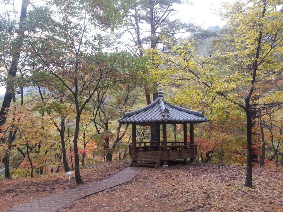 푸른하늘 은하수 펜션 양양 외부 사진